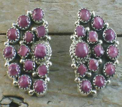 Native American Earrings Cluster- Flower C